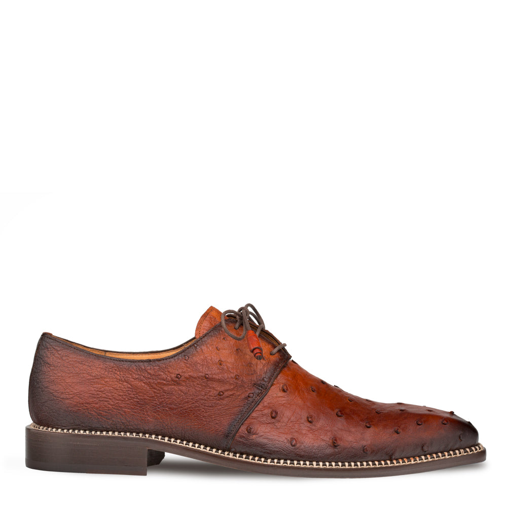 Mezlan warehouse new arrivals sale