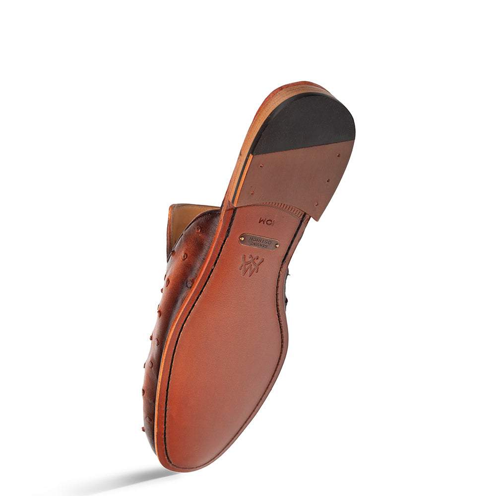 Ostrich Mule