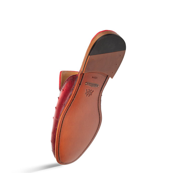 Ostrich Mule