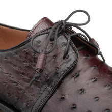 Load image into Gallery viewer, Plain Toe Derby Genuine Ostrich with Tassels
